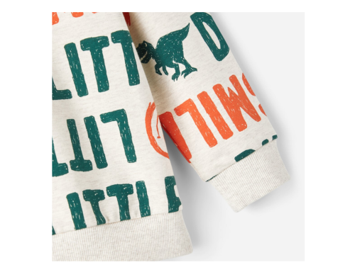 SUDADERA DE ENTRETIEMPO DE NIÑO EN ALGODÓN ORGÁNICO LETRAS DE BESTSELLER
