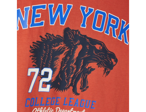 CAMISETA NIÑO MANGA CORTA COLLEGE LEAGE DE ALGODÓN DE BESTSELLER