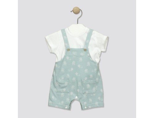 PETO CORTO + CAMISETA LIONS DE BABIDÚ