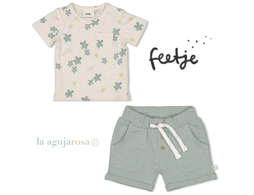 CONJUNTO TORTUGAS DE FEETJE