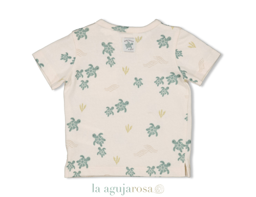 CONJUNTO TORTUGAS DE FEETJE