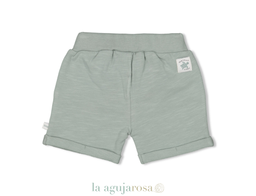 CONJUNTO TORTUGAS DE FEETJE