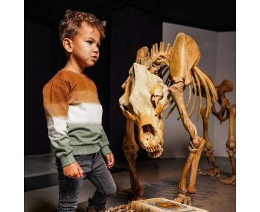 SUÉTER PARA NIÑO MARRÓN OSCURO BLANCO ROTO Y VERDE DE... 2