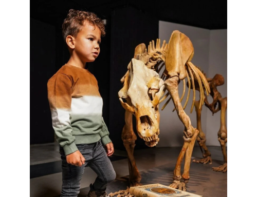 SUÉTER PARA NIÑO MARRÓN OSCURO BLANCO ROTO Y VERDE DE KOKO NOKO