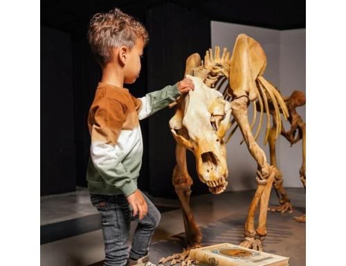 SUÉTER PARA NIÑO MARRÓN OSCURO BLANCO ROTO Y VERDE DE KOKO NOKO