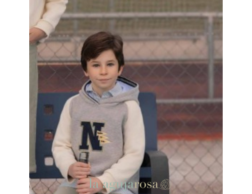 SUDADERA CAPUCHA NIÑO GRIS NELBLU DE MIRANDA